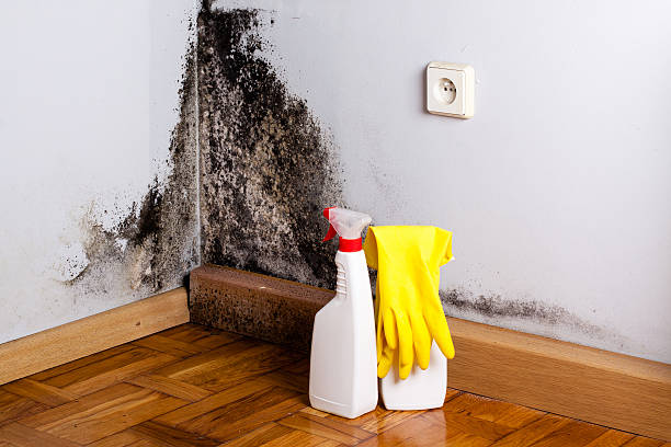 Sewage cleanup and water damage restoration in Laurel Hill, NC